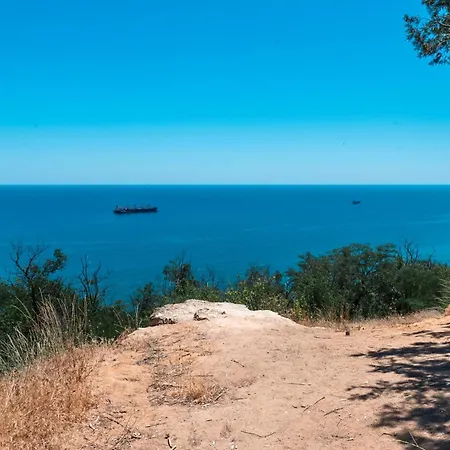 Galata Relax * Warna